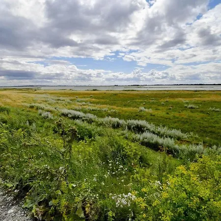 8 Person In Otterup-by Traum 펜션 *