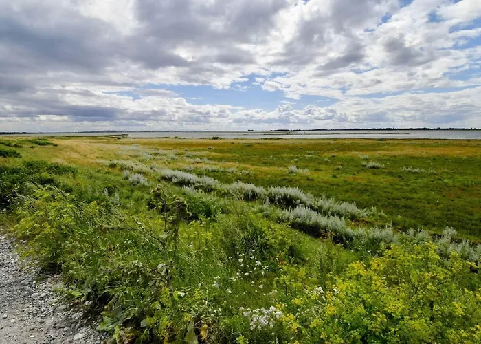8 Person In Otterup-by Traum Сasa de vacaciones *